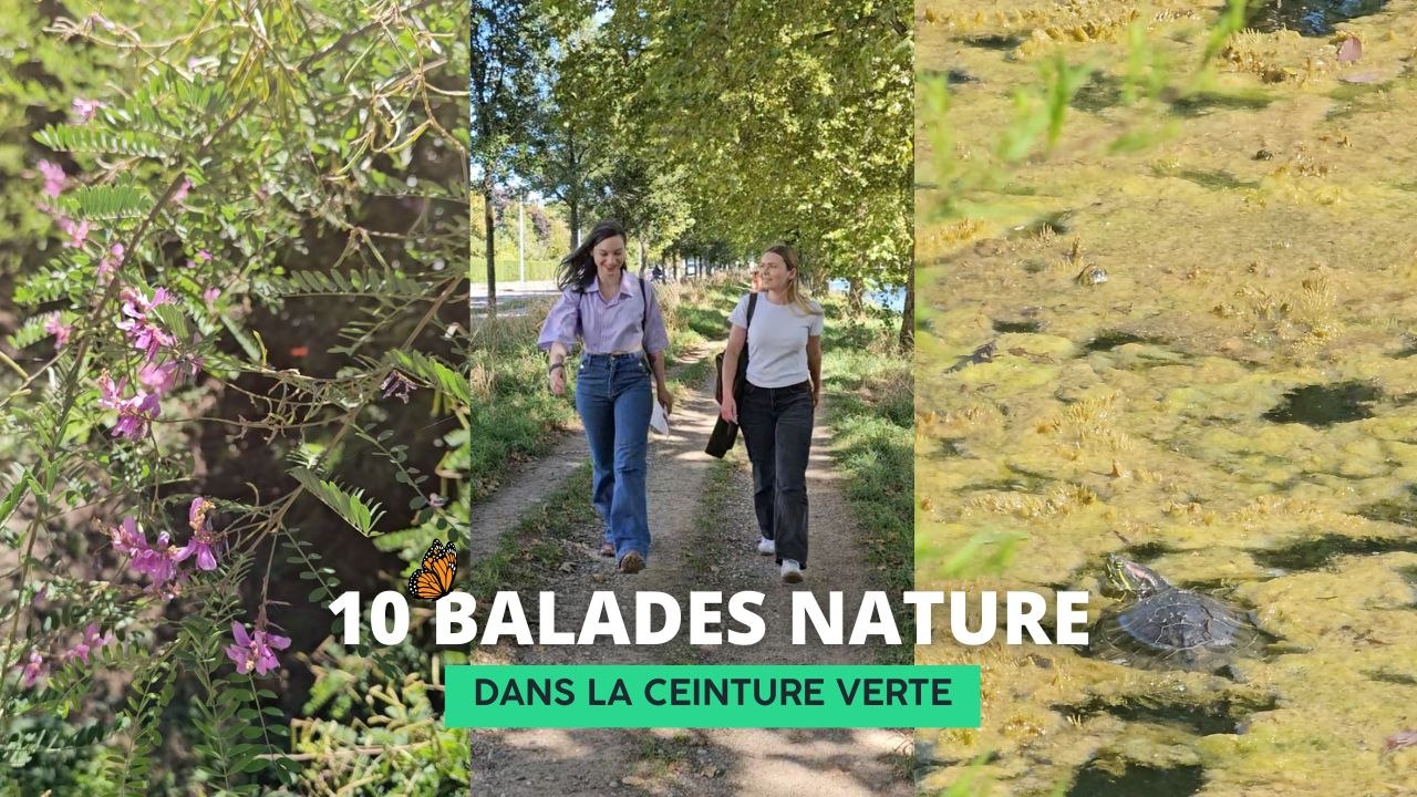10 balades nature dans la Ceinture verte