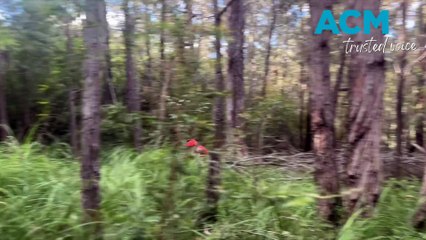 Competitors take to the trails for Quad Crown MTB’s ‘The Orca’