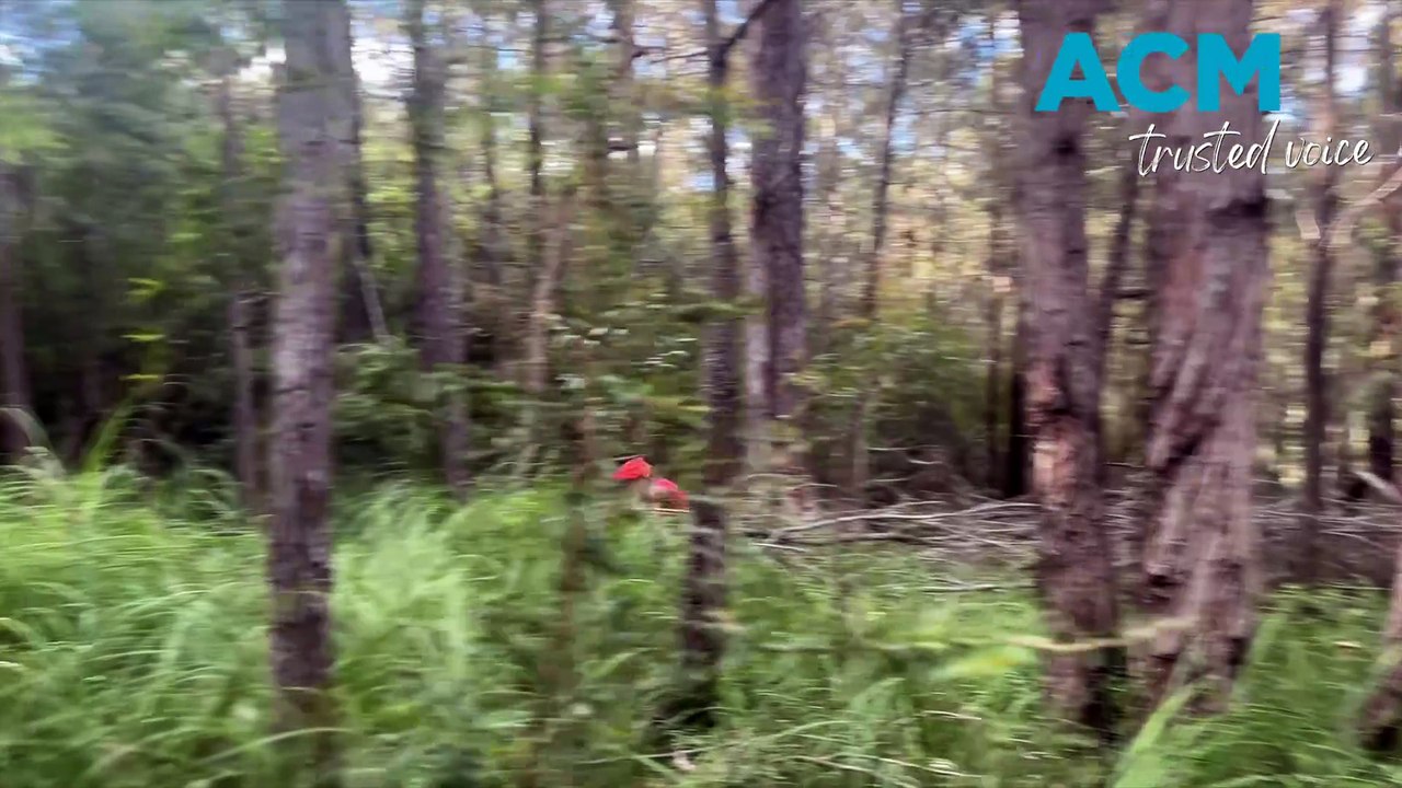 Competitors take to the trails for Quad Crown MTB’s ‘The Orca’