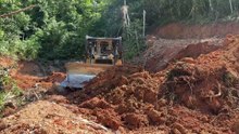 Reliable D6R XL Bulldozer Expands Plantation Roads