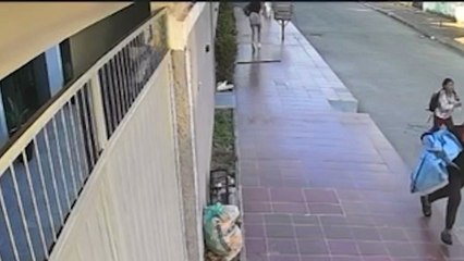 300 UNIVERSITARIA ATRACADA T- 1.31 SEGU