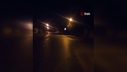 Duvarı Yıktı, Bahçeye Daldı!