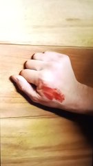 The Vampire Obsession (2)