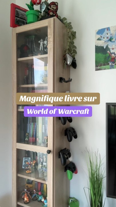 Magnifique ouvrage sur World of warcraft 😍