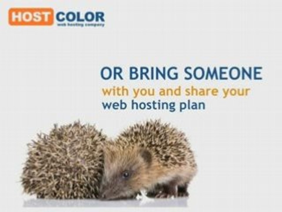 Host Color Video 2