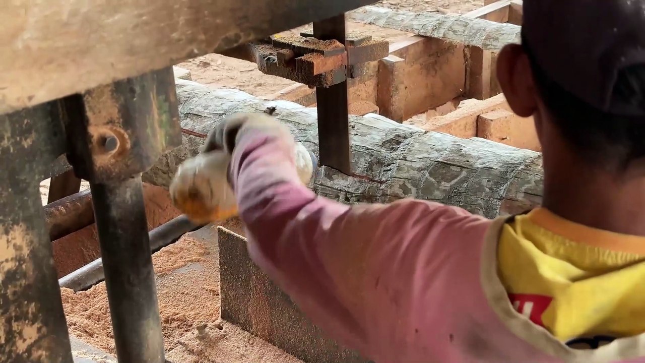 Initial Steps in Sawing a 5x15 Coconut Tree with a Sawmill