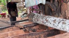 Advantages of Using a Sawmill Machine for 5x7 Coconut Logs