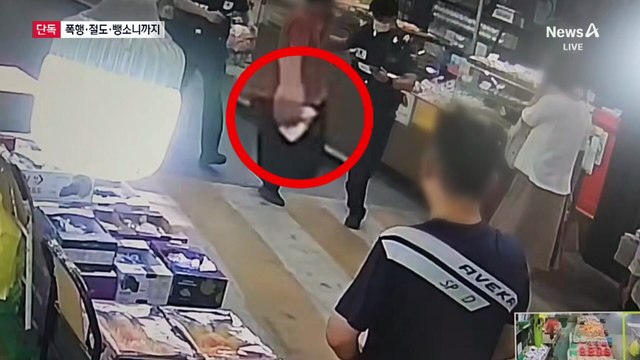 [단독]술 취해 폭행·차량 절도·뺑소니…50대 중국인 체포