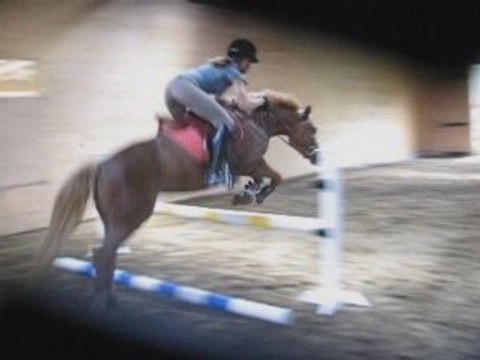 Lili Rose - Obstacle - Ponette à Vendre