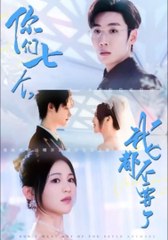 Don't Want Any of You Seven Anymore full movie