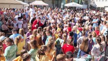 Höfefest 2025 Groß-Enzersdorf