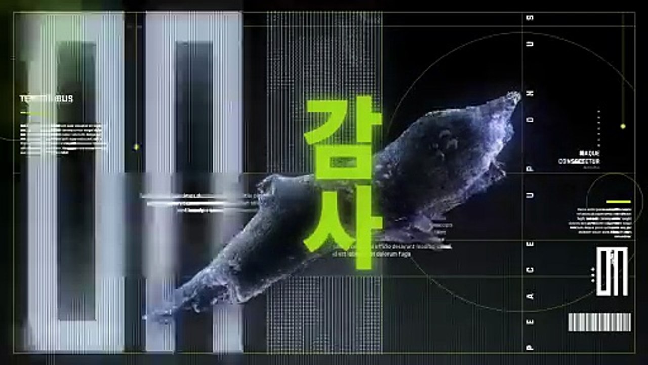 Dark Glitch Intro - After Effects Templates - WorldASR.com
