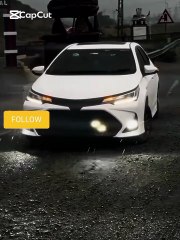 viral expensive car video