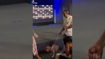 Esto no te lo esperabas, Thor, el perro de Nico González, invitado sorpresa en su presentación