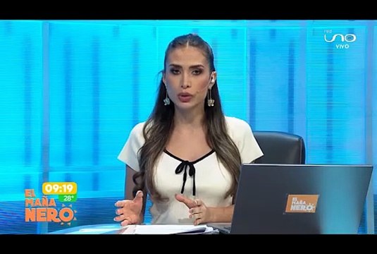El Concejo Municipal debería dejar de tener esas confrontaciones, afirma Cochamanidis