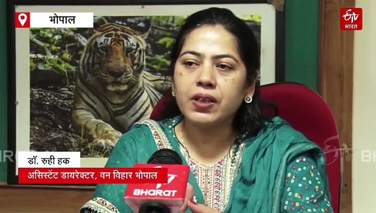 नेट जीरो पॉल्यूशन वाला मध्य प्रदेश का पहला नेशनल पार्क, वन विहार में पेट्रोल-डीजल वाहन पर रहेगी पाबंदी