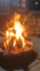 الذره المشوى