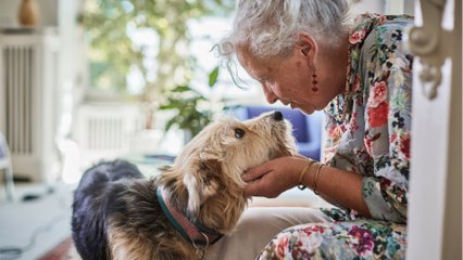 Héritage d'une maison : à combien s'élèvent les droits de succession ?