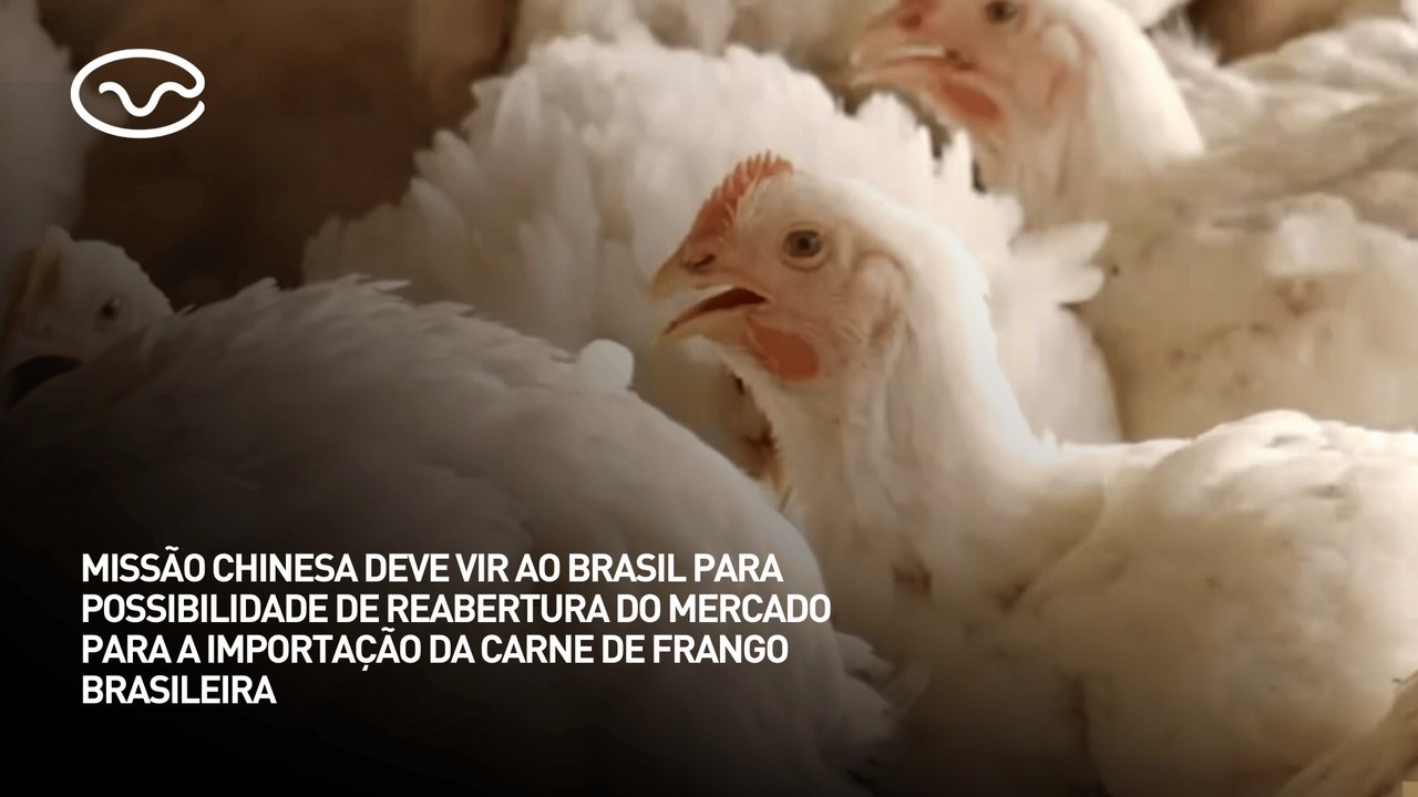 Missão chinesa deve vir ao Brasil com possibilidade de reabertura do mercado de importação frango