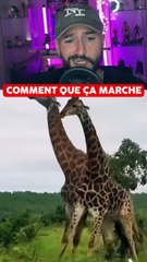 COMMENT FONCTIONNE LES CHOSES ??