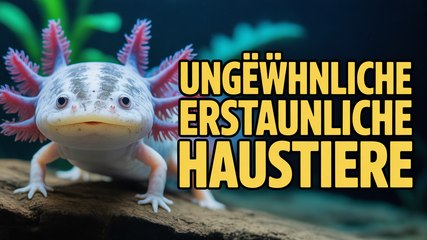 Top 5 ungewöhnliche Haustiere, die dich in Erstaunen versetzen werden
