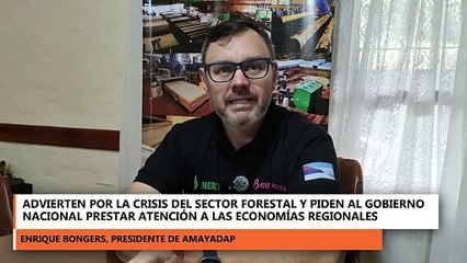 Crisis en el sector maderero, Amayadap reclama medidas concretas al Gobierno Nacional