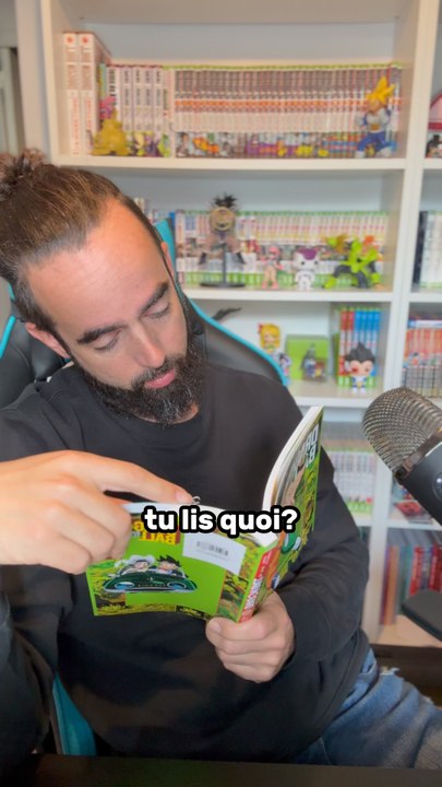 Vous lisez Dragonball ?