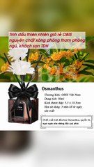 Tinh dầu thiên nhiên giá rẻ OBIS nguyên chất xông phòng thơm phòng ngủ, khách sạn TDH - TRIPMAP Marketplace