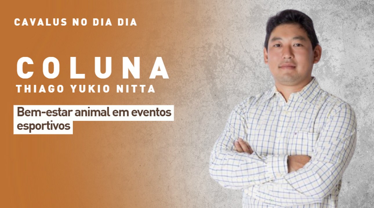 Cavalus no Dia Dia: bem-estar animal em eventos esportivos