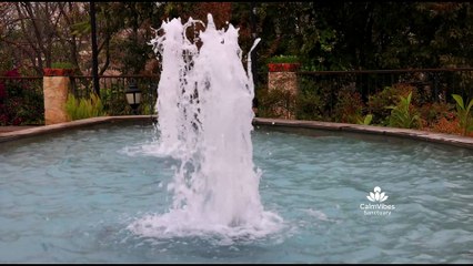 Japanese Zen Garden Ambience for Meditation