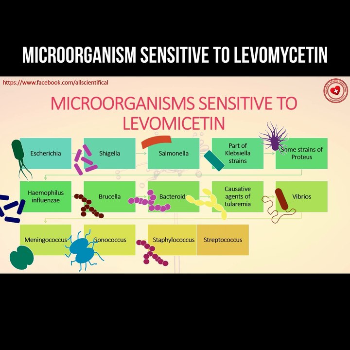 Microorganisms sensitive to chloramphenicol (levomycetin)