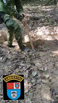 Polícia Ambiental divulga primeiras imagens de carro enterrado em Icaraíma