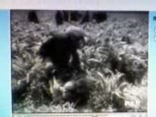 ALGERIE LA QUALITÈ 1947-1948 P.3