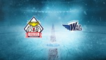 Highlights von Fischtown Pinguins - Schw. Wild Wings
