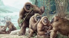 Grandi misteri della storia - La leggenda del Bigfoot