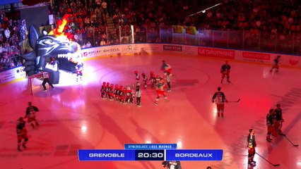 Grenoble - Bordeaux - Synerglace Ligue Magnus - J1