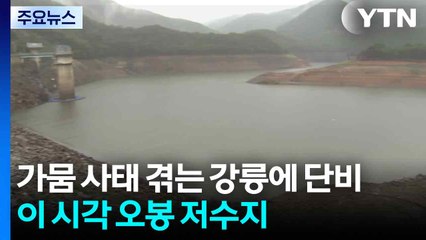 가뭄 사태 겪는 강릉에 단비...저수율도 첫 상승 / YTN