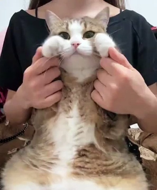 Dancing