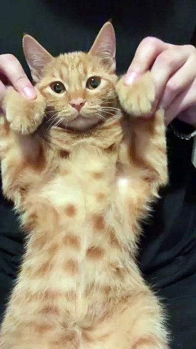 Dancing