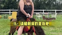 那些猝不及防的尴尬瞬间，大型社死现场