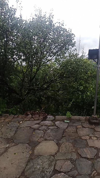 rainy day view #rain