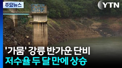 [날씨] 가뭄 사태 강릉에 단비...두 달 만에 저수율도 상승 / YTN
