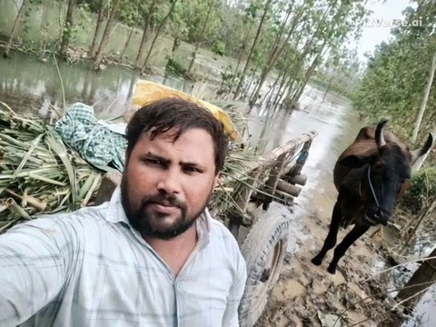 #viral #trending #explorepage #reels #reelitfeelit #foryou #fyp #music #song #beats #dancechallenge #musician #instamusic #singing #funny #comedy #meme #haha #lol #funnyreels #instafunny #relatable #motivation #inspiration #positivevibes