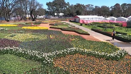 Australia's biggest flower festival, Floriade, kicks off today in Canberra