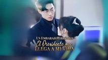 [Doblado] Un Embarazo Erróneo- El Presidente que Llega a mi Vida