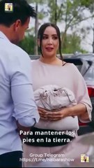 Modo Millonaria Completo Shorts