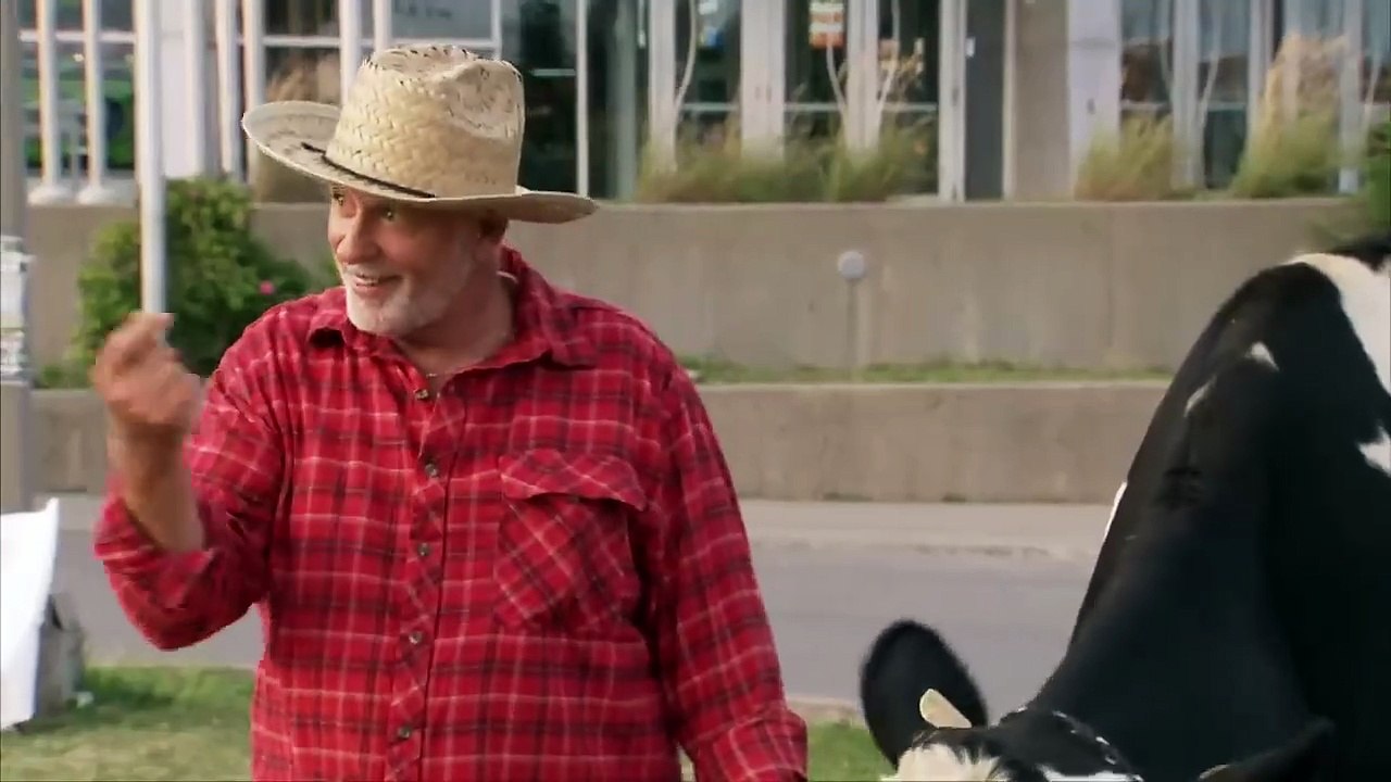 Girlfriends Risk Their Relationships To Buy A Cow