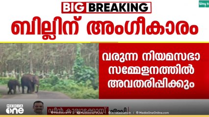'കേന്ദ്രനിയമത്തിൽ അക്രമകാരികളായ മൃഗങ്ങളെ കൊല്ലാൻ വകുപ്പുണ്ട്; ഈ ബിൽ ജനങ്ങളുടെ കണ്ണിൽ പൊടിയിടാൻ'