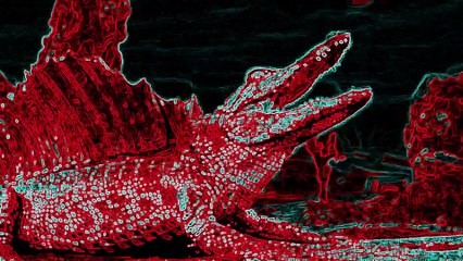 Tranced and Psychedelisized #165 - September 13, 2025