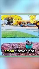 4 Times People Opened the Door and Couldn’t Believe What Happened Next